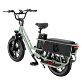 LUCKEEP X5 Lite 20" Cargo Electric Bike 750W(1400W Peak) Motor 48V 20Ah Battery