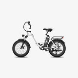 LUCKEEP C27 20" Step-Thru Cargo Electric Bike 750W(1200W Peak) Motor 48V 13Ah Battery