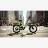 LUCKEEP C27 20" Step-Thru Cargo Electric Bike 750W(1200W Peak) Motor 48V 13Ah Battery