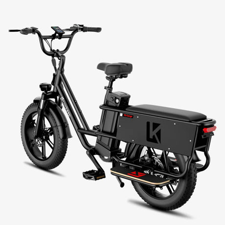 LUCKEEP X5 Lite 20" Cargo Electric Bike 750W(1400W Peak) Motor 48V 20Ah Battery