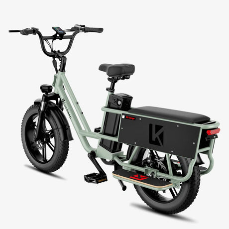 LUCKEEP X5 Lite 20" Cargo Electric Bike 750W(1400W Peak) Motor 48V 20Ah Battery