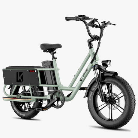 LUCKEEP X5 Lite 20" Cargo Electric Bike 750W(1400W Peak) Motor 48V 20Ah Battery
