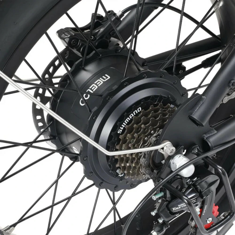 MEELOD DK300 MAX 20" Retro Moped Style Electric Bike 750W(1200W Peak) Dual Motors 48V 20Ah Dual Batteries