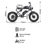MEELOD DK300 PLUS 20" Retro Moped Style Electric Bike 1200W Peak Motor 48V 20Ah Battery