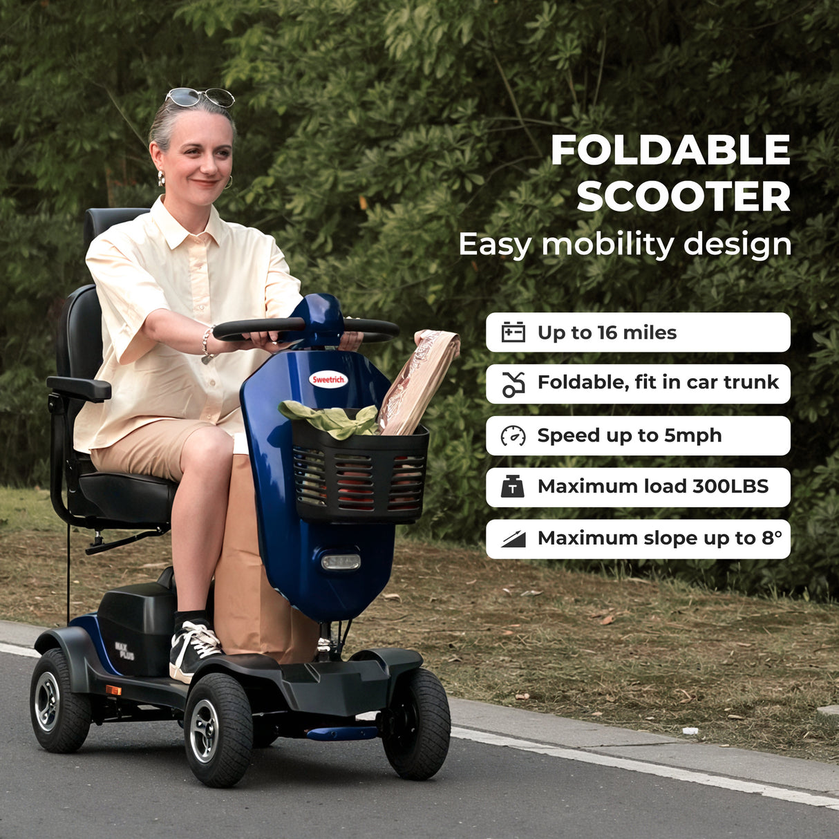 SWEETRICH MAX PLUS 9" 4 Wheel Electric Mobility Scooter  300W Motor 24V 20Ah Battery (German Version)
