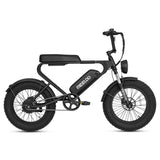 MEELOD DK200 20" Retro Moped Style Electric Bike 750W Motor 48V 13Ah Battery