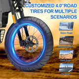 NEXXBIKE X5 Plus 20" Fat Tires Electric Dirt Bike 2000W Peak Motor 48V 25Ah Battery With NFC Key