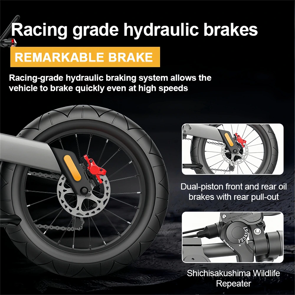 NEXXBIKE X5 Plus 20" Fat Tires Electric Dirt Bike 2000W Peak Motor 48V 25Ah Battery With NFC Key