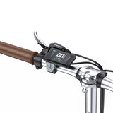 ONESPORT OT02 16" Folding Electric Bike 250W Motor 36V 5.2Ah Battery