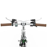 ONESPORT OT02 PRO 20" Folding E-Bike 250W Motor 36V 5.2Ah Battery