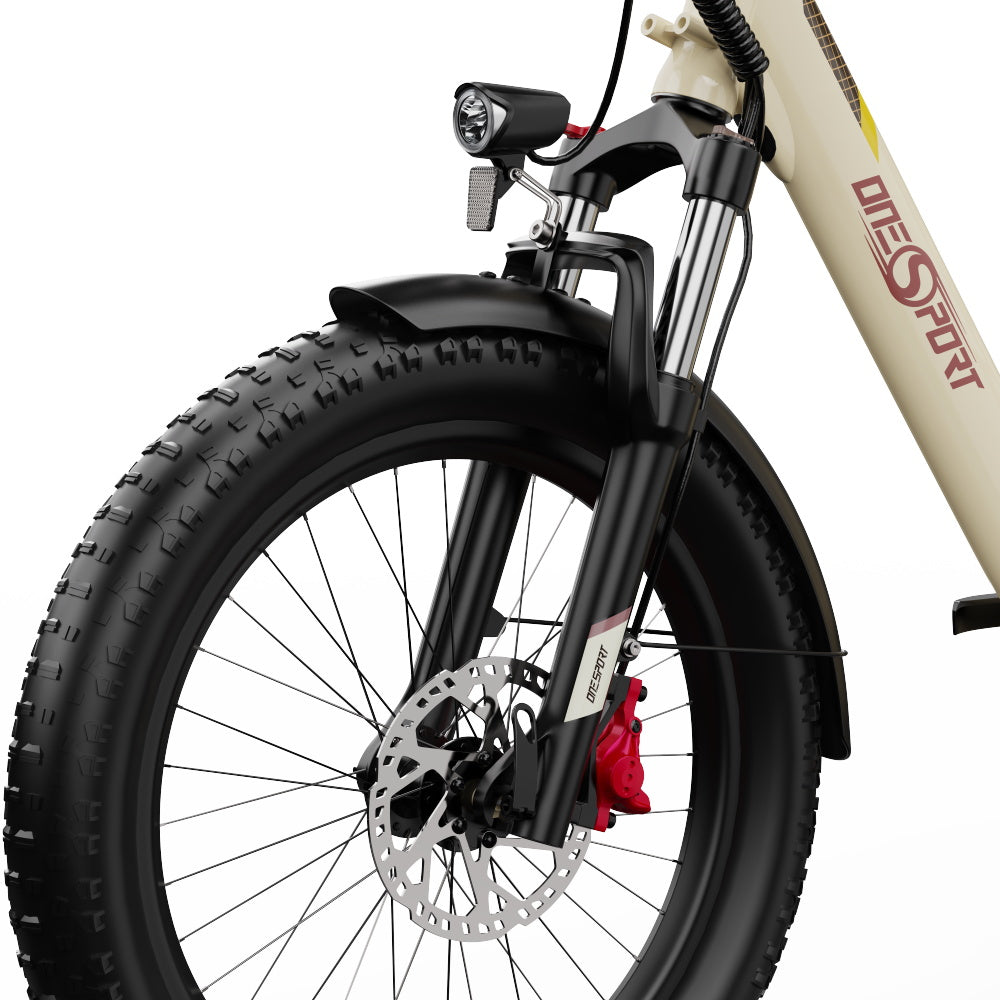 ONESPORT OT30 PRO  20" 3-Wheel Folding E-Trike 500W Motor 48V 18Ah Battery