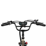 ONESPORT OT30 PRO  20" 3-Wheel Folding E-Trike 500W Motor 48V 18Ah Battery