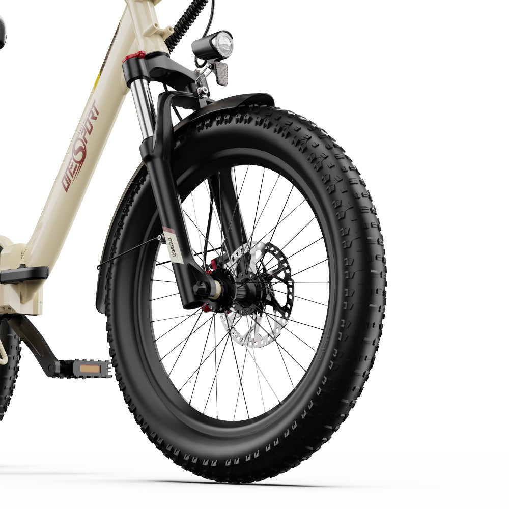 ONESPORT OT30 PRO  20" 3-Wheel Folding E-Trike 500W Motor 48V 18Ah Battery