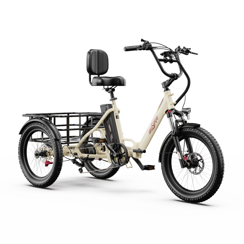 ONESPORT OT30 PRO  20" 3-Wheel Folding E-Trike 500W Motor 48V 18Ah Battery