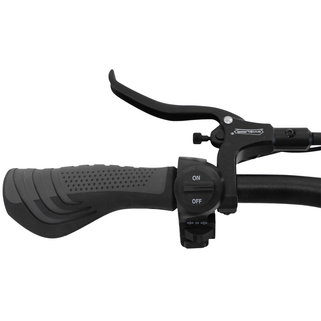 OOTD T30 13" All-Terrain 3-Wheel Scooter Electric Scooter 1600W*2 Dual Motor 60V 31.2Ah Battery