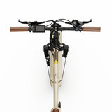 OneSport OT16-2 Bicicleta eléctrica plegable de 20 pulgadas, motor de 250 W, batería de 48 V y 15,6 Ah, compatible con aplicación