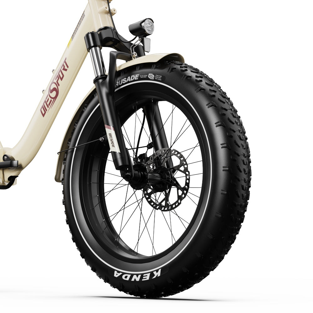 OneSport OT16-2 Bicicleta eléctrica plegable de 20 pulgadas, motor de 250 W, batería de 48 V y 15,6 Ah, compatible con aplicación