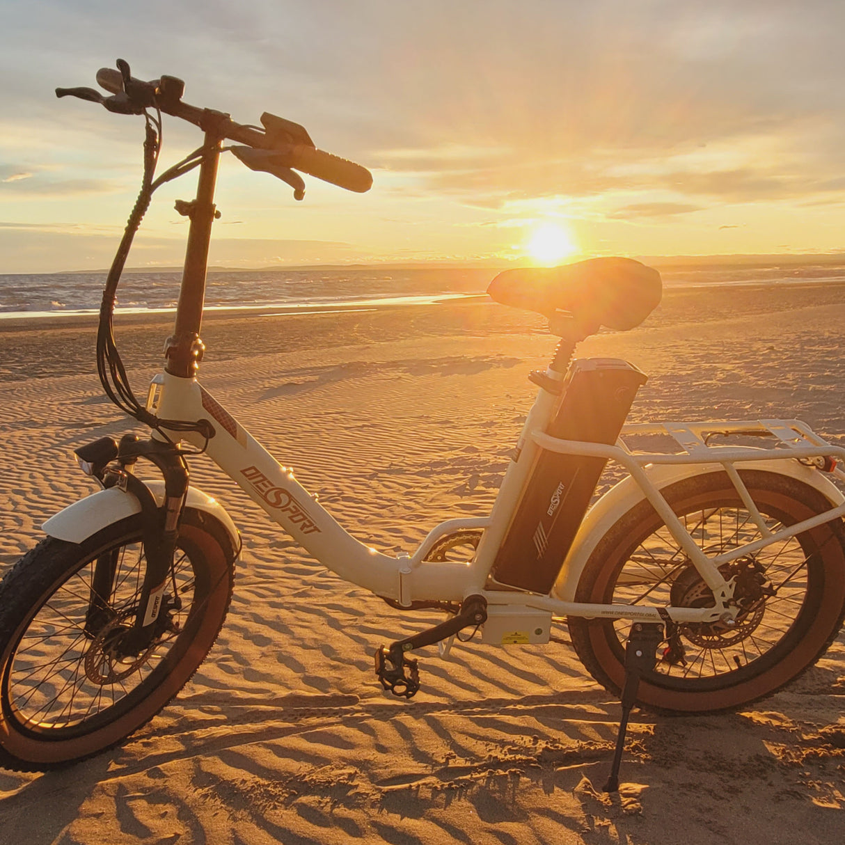 OneSport OT16-2 20 ''vélo de banlieue électrique pliant 250W moteur 48V 15.6Ah batterie Support APP