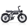 PHNHOLUN C8 20" Retro Electric Dirt Bike MTB 1500W Motor 48V 20Ah Battery