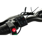 PIXAR Wind1 20" Folding Electric Bike 500W Peak Motor 48V 10.4Ah Battery