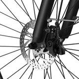 PIXAR C1 28" E-bike For Women 250W Motor 36V 13Ah Battery