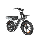 PIXAR M9 20" Retro Electric Bike 250W Motor 48V 35Ah Battery