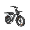 PIXAR M9 20" Retro Electric Bike 250W Motor 48V 35Ah Battery