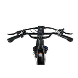 PIXAR Ride1 20" City Electric Bike 500W Motor 48V 10.4Ah Battery