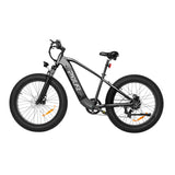 PIXAR Space1 26" Fat tire Electric Bike 500W Motor 48V 20Ah Battery