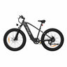PIXAR Space1 26" Fat tire Electric Bike 500W Motor 48V 20Ah Battery