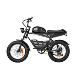 PIXAR SuperV 20" Electric Off-road Bike 500W Motor 48V 30Ah/15.6Ah Battery