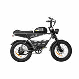 PIXAR SuperV 20" Electric Off-road Bike 500W Motor 48V 30Ah/15.6Ah Battery