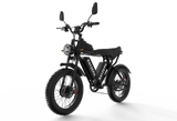 RAYZEPH C20MAX-1 20" Off-Road E-Bike 2000W Motor 52V 40Ah Battery