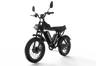 RAYZEPH C20MAX-1 20" Off-Road E-Bike 2000W Motor 52V 40Ah Battery