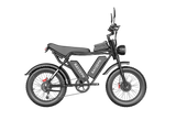 RAYZEPH C20MAX-1 20" Off-Road E-Bike 2000W Motor 52V 40Ah Battery