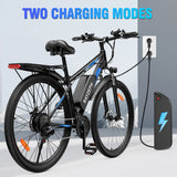 RAYZEPH S29 PRO 29" Mountain E-Bike 1000W Motor 48V 21Ah Battery