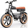 RIDSTAR CR20 20" Retro-Style Electric Bike for All Terrains 1000W Motor 48V 20Ah Battery