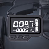 RIDSTAR FM001 20" 1000W Motor 2-Seater Fat-tire Electric Bike 48V 15Ah Battery