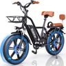 RIDSTAR FM001 20" 1000W Motor 2 Seater Fat Tire Electric Bike 48V 15Ah Battery