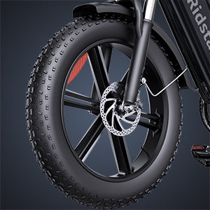 RIDSTAR FM001 20" 1000W Motor 2-Seater Fat-tire Electric Bike 48V 15Ah Battery
