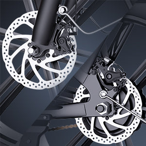 RIDSTAR FM001 20" 1000W Motor 2-Seater Fat-tire Electric Bike 48V 15Ah Battery