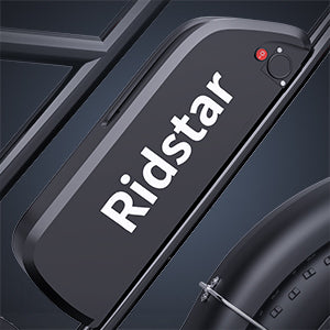 RIDSTAR FM001 20" 1000W Motor 2-Seater Fat-tire Electric Bike 48V 15Ah Battery