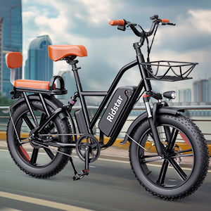 RIDSTAR FM001 20" 1000W Motor 2-Seater Fat-tire Electric Bike 48V 15Ah Battery