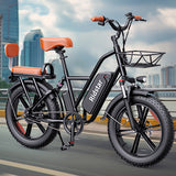 RIDSTAR FM001 20" 1000W Motor 2-Seater Fat-tire Electric Bike 48V 15Ah Battery