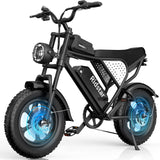 RIDSTAR Q16 16" Fat Tires Electric Bikes 750W Motor 48V 20Ah Battery