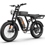 URLIFE T9 20" Off Road Electric Bike 250W Motor 48V 15.6Ah Battery (UK&EU Version)