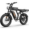 URLIFE T9 20" Off Road Electric Bike 250W Motor 48V 15.6Ah Battery (UK&EU Version)