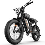 URLIFE T9 20" Off Road Electric Bike 250W Motor 48V 15.6Ah Battery (UK&EU Version)