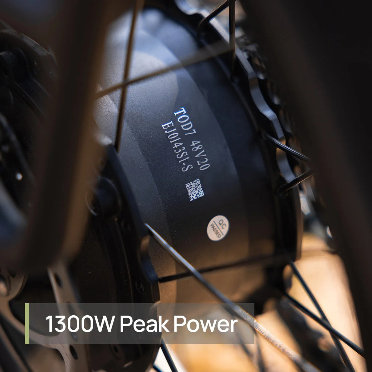 TENVELS NOVA 20" All-Terrain Electric Bike 1300W Peak Motor 48V 20Ah Battery