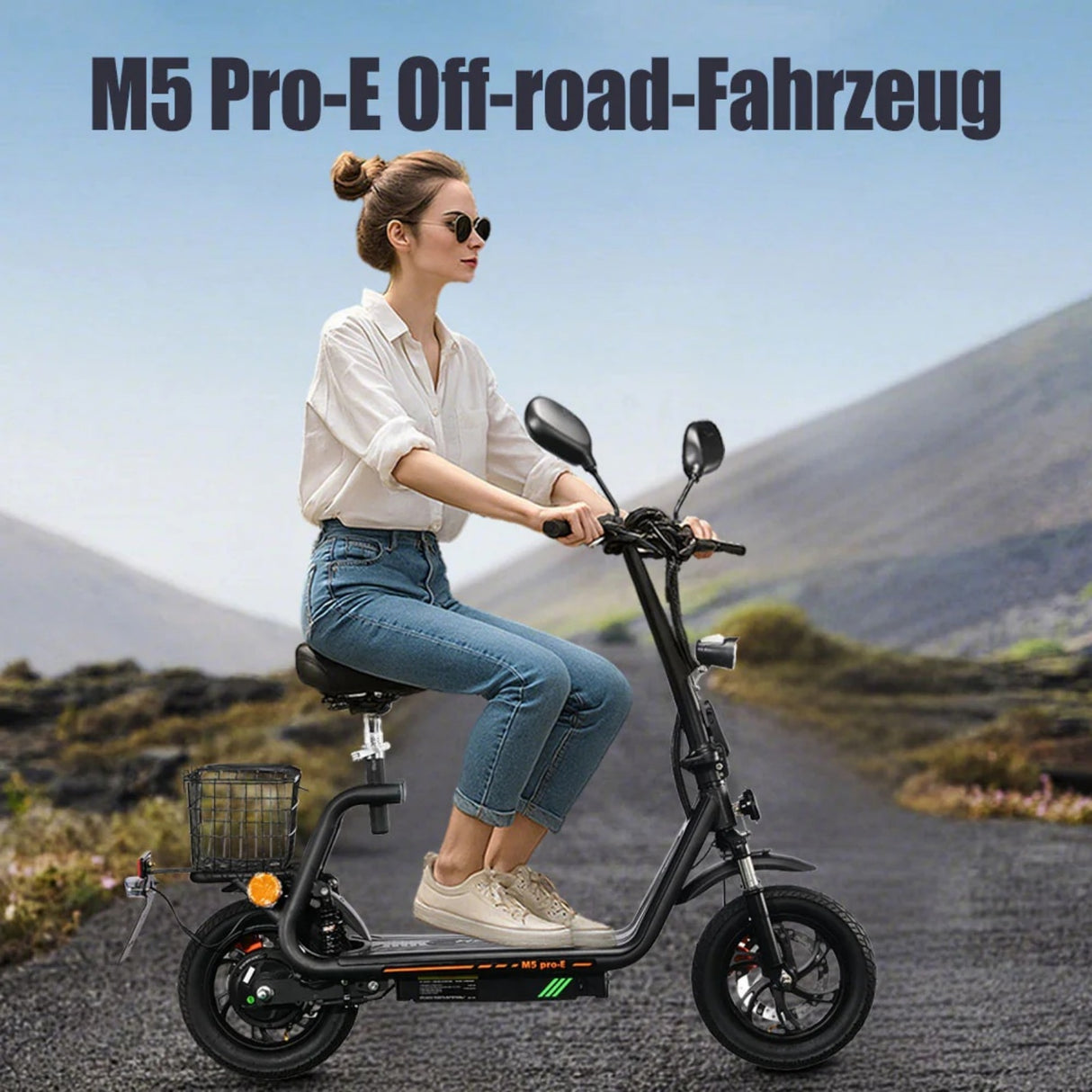 TWOFISH M5 Pro-e 12" Folding Electric Scooter 500W Motor 48V 13Ah Battery (EU)